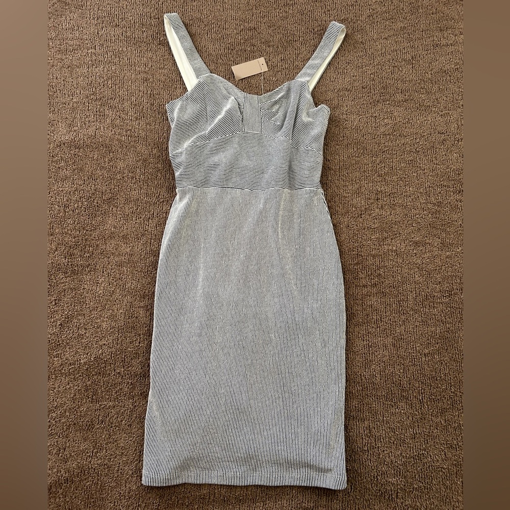 NWT Ann Taylor Bodycon Dress
